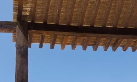 Best Coconut Fiber Shade Sail: Unique Features & Benefits