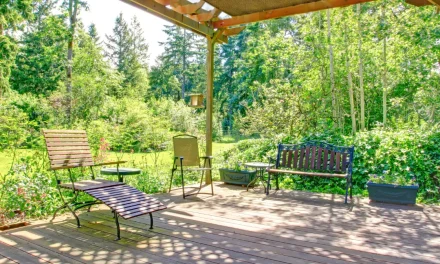 Sun Shade Extender: Enhance Outdoor with Coir Shades