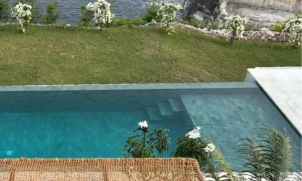 Sun Protection from Natural Coir: An Eco-Friendly Solution