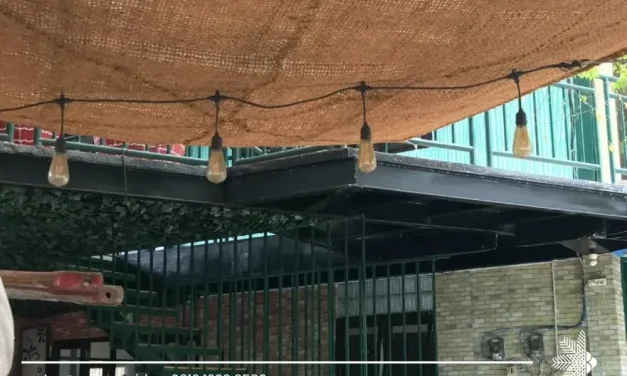 Unique Coco Sail for Sustainable Outdoor Living