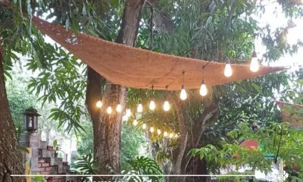 Durable Eco Shade Sail for Sustainable Outdoor Comfort