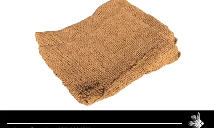 Sun Shade Sail 10×10: Ultimate Guide
